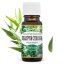Saloos - Eukalyptus citriodora - 100% přírodní esenciální olej 10ml